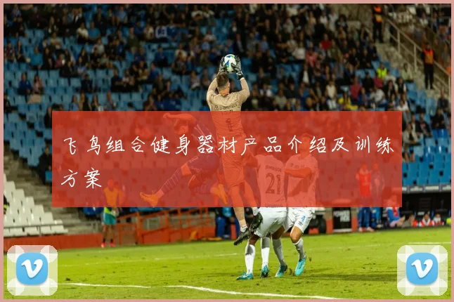 飞鸟组合健身器材产品介绍及训练方案